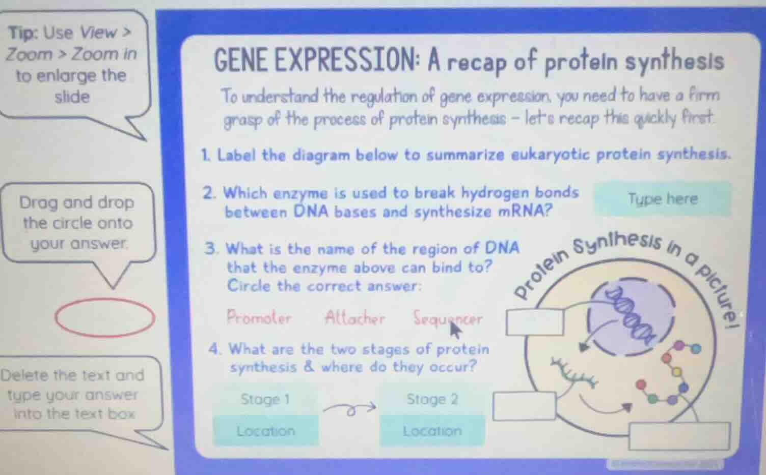tip: use view > zoom > zoom in to enlarge the slide drag and drop the c…