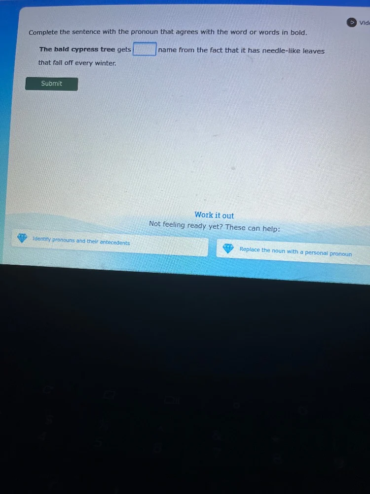 complete the sentence with the pronoun that agrees with the word or wor…