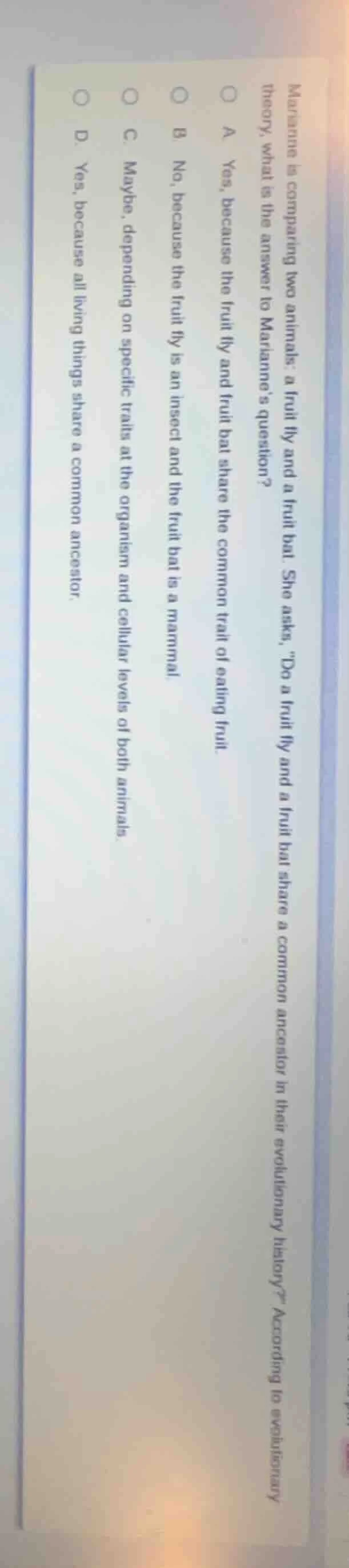 marianne is comparing two animals: a fruit fly and a fruit bat. she ask…