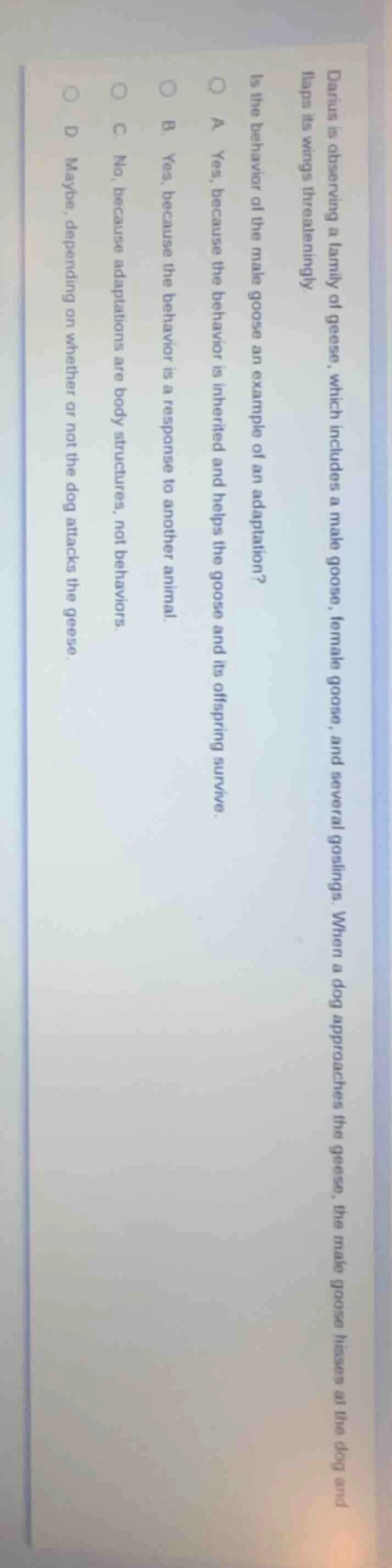 darius is observing a family of geese, which includes a male goose, fem…