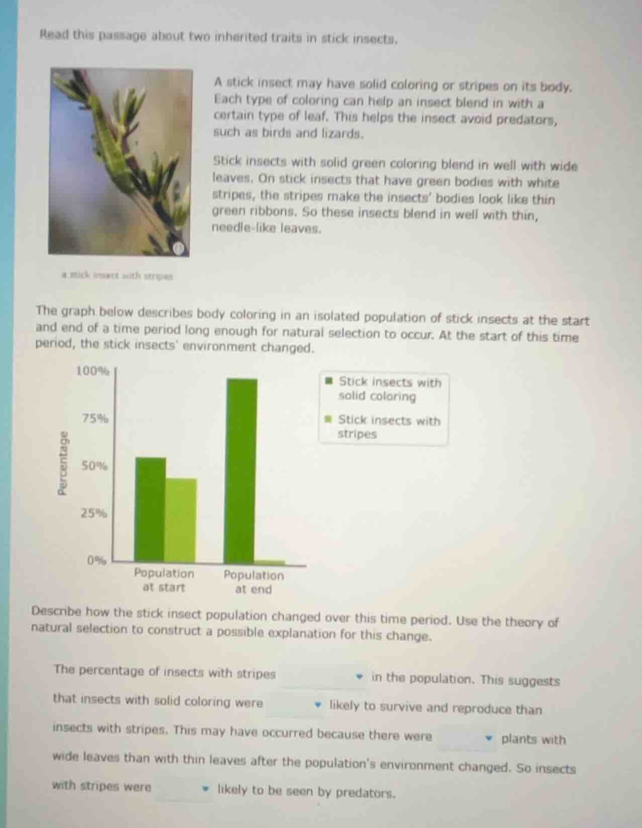 read this passage about two inherited traits in stick insects. a stick …