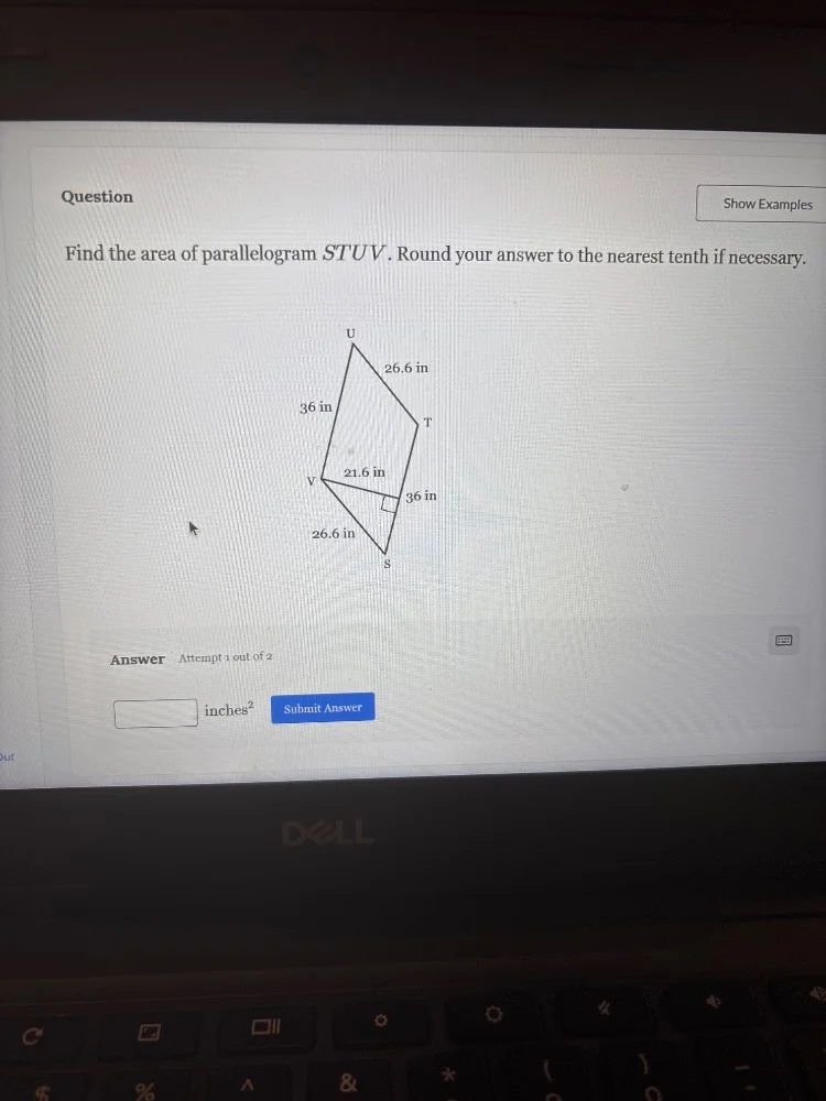 question show examples find the area of parallelogram stuv. round your …