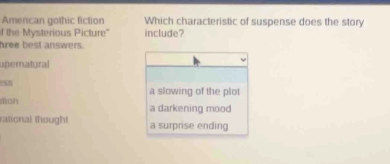 american gothic fiction of the mysterious picture\ hree best answers. u…