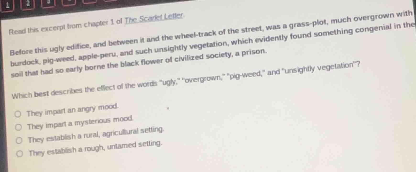 read this excerpt from chapter 1 of the scarlet letter.before this ugly…