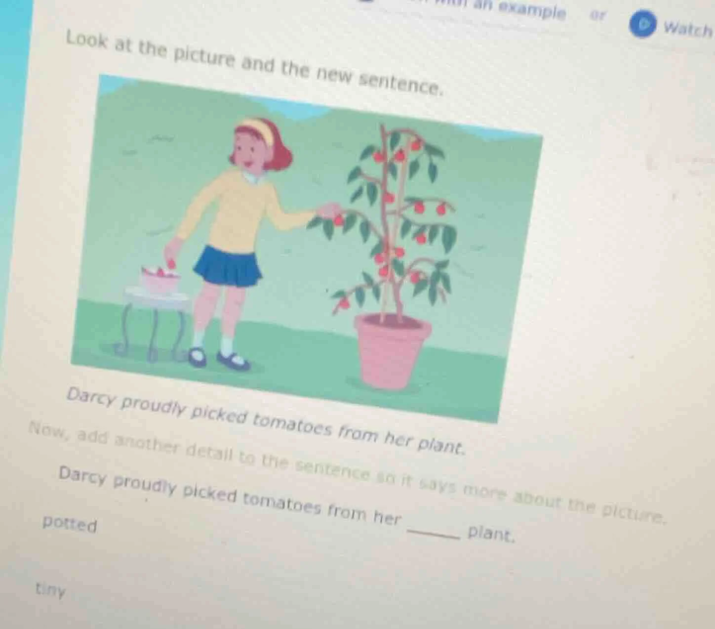 look at the picture and the new sentence. darcy proudly picked tomatoes…