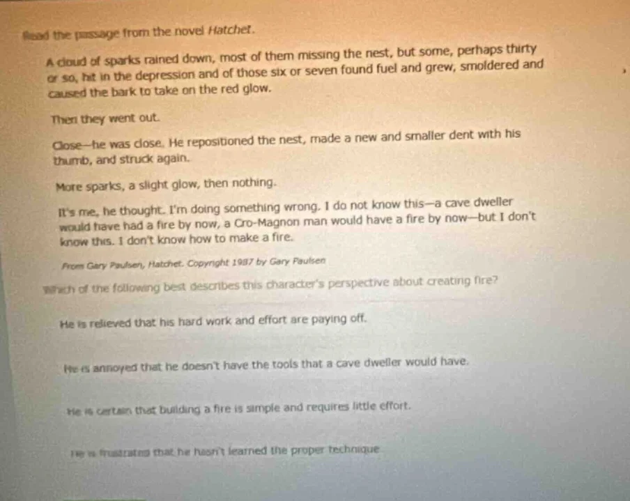 read the passage from the novel hatchet.a cloud of sparks rained down, …