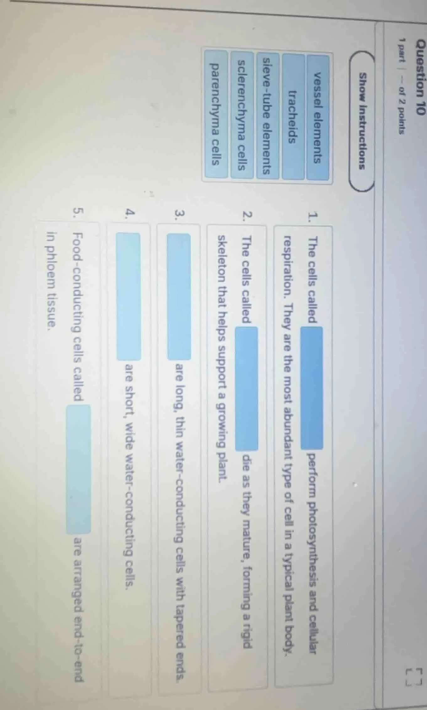 question 101 part | -- of 2 pointsshow instructionsvessel elementstrach…