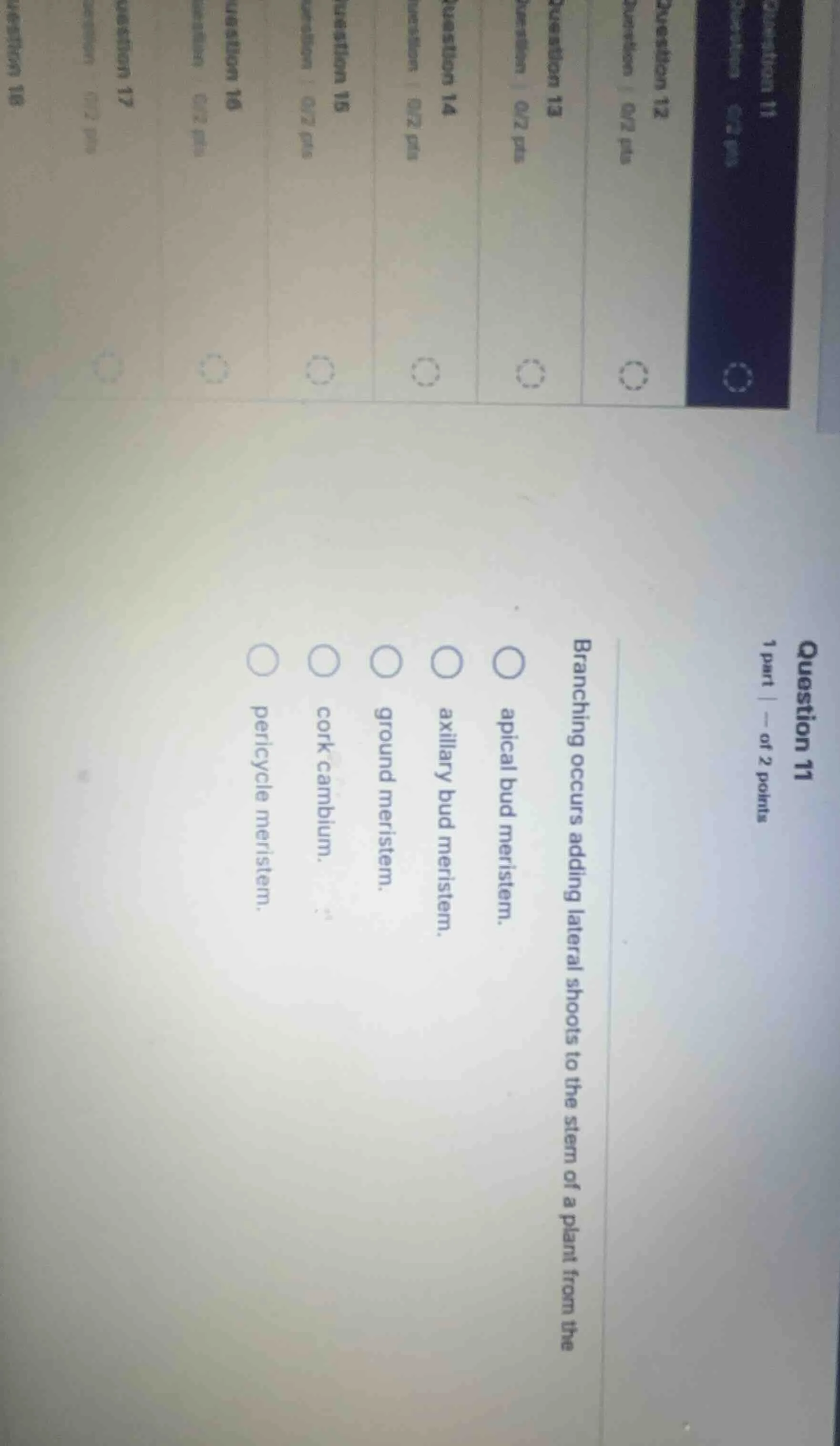 question 11 1 part | -- of 2 points branching occurs adding lateral sho…
