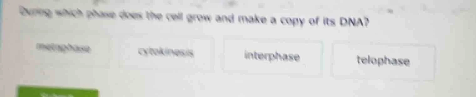 during which phase does the cell grow and make a copy of its dna?metaph…