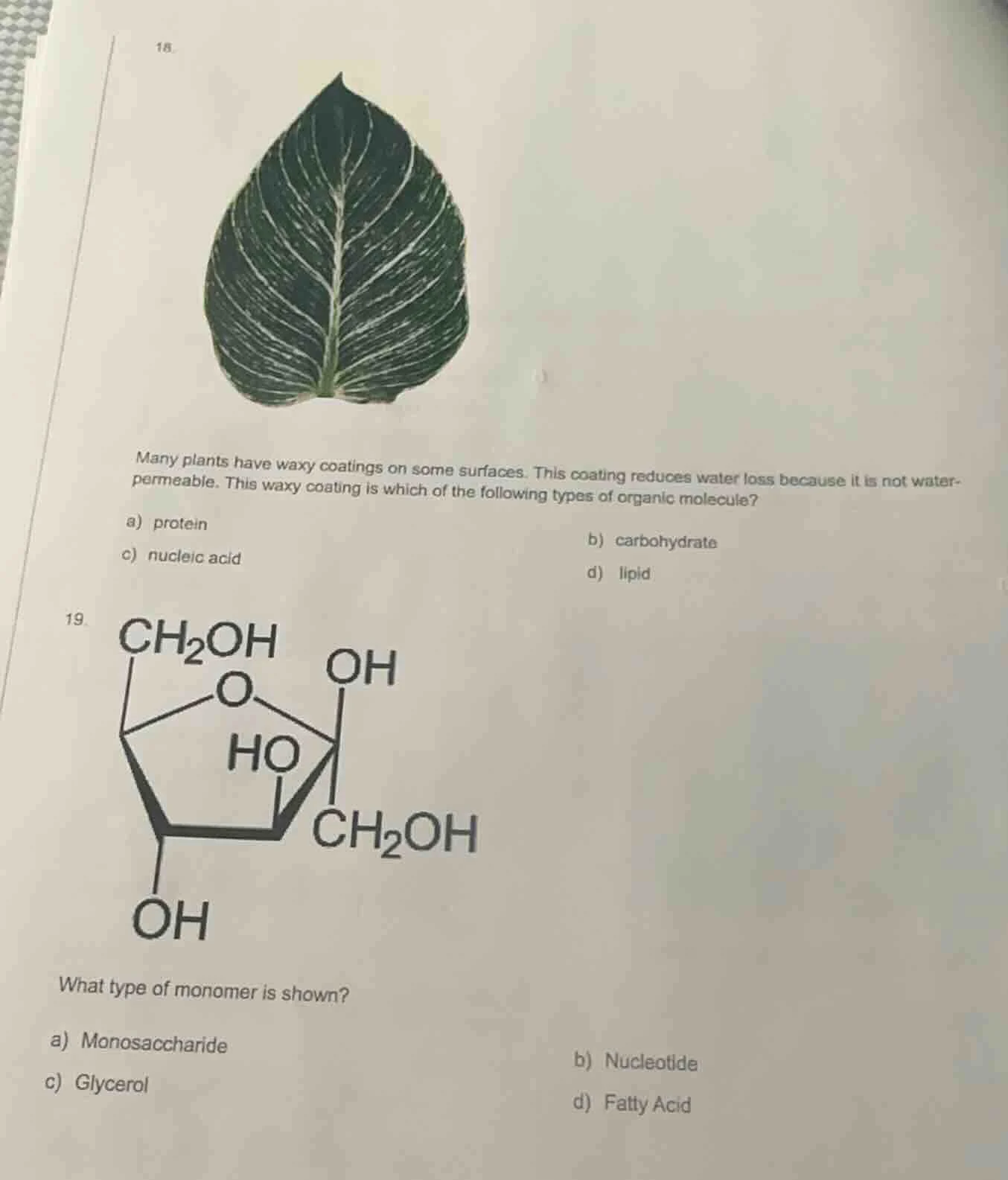 18.many plants have waxy coatings on some surfaces. this coating reduce…
