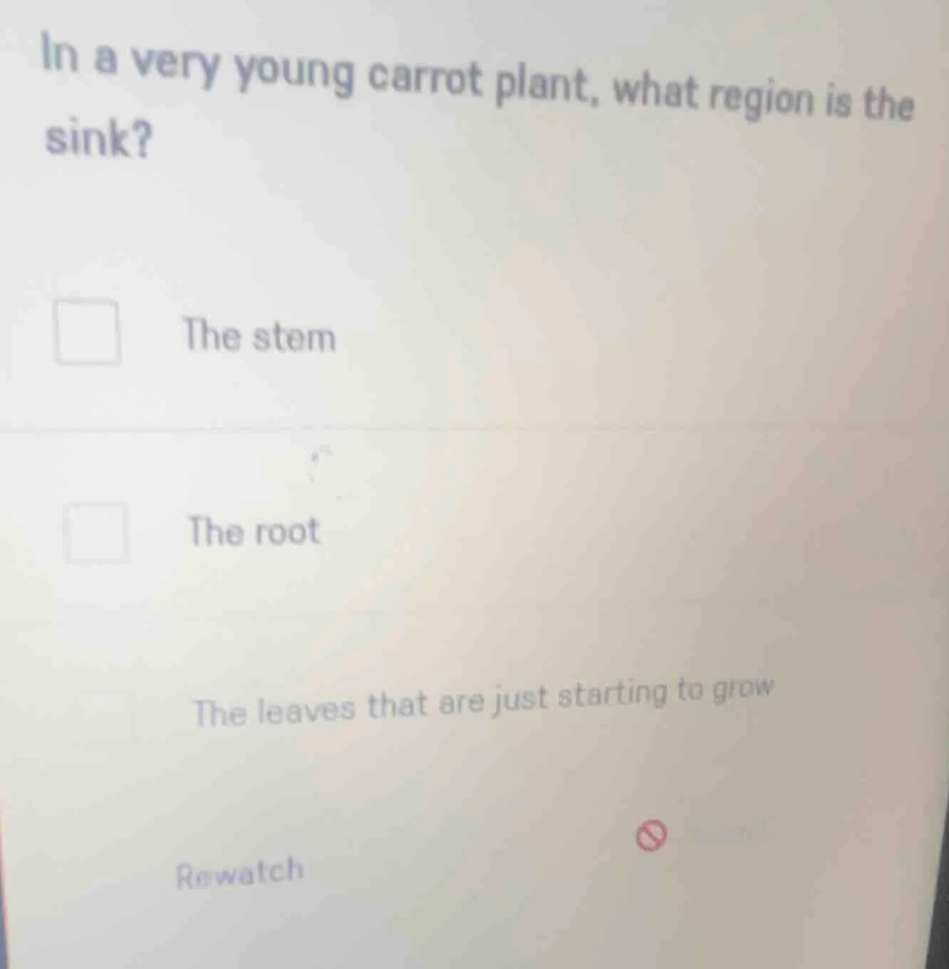 in a very young carrot plant, what region is the sink? the stem the roo…