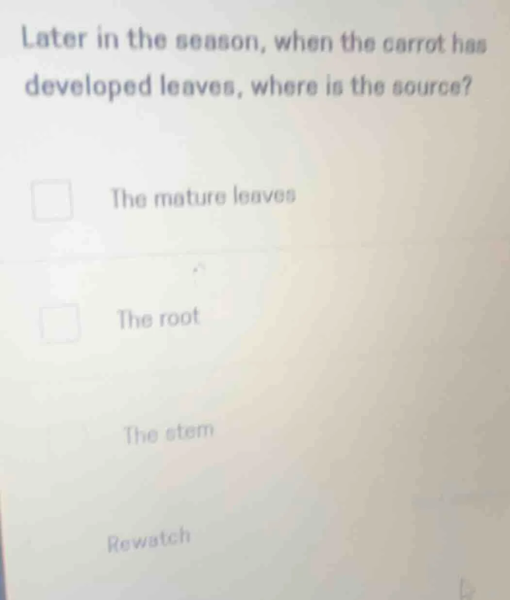 later in the season, when the carrot has developed leaves, where is the…