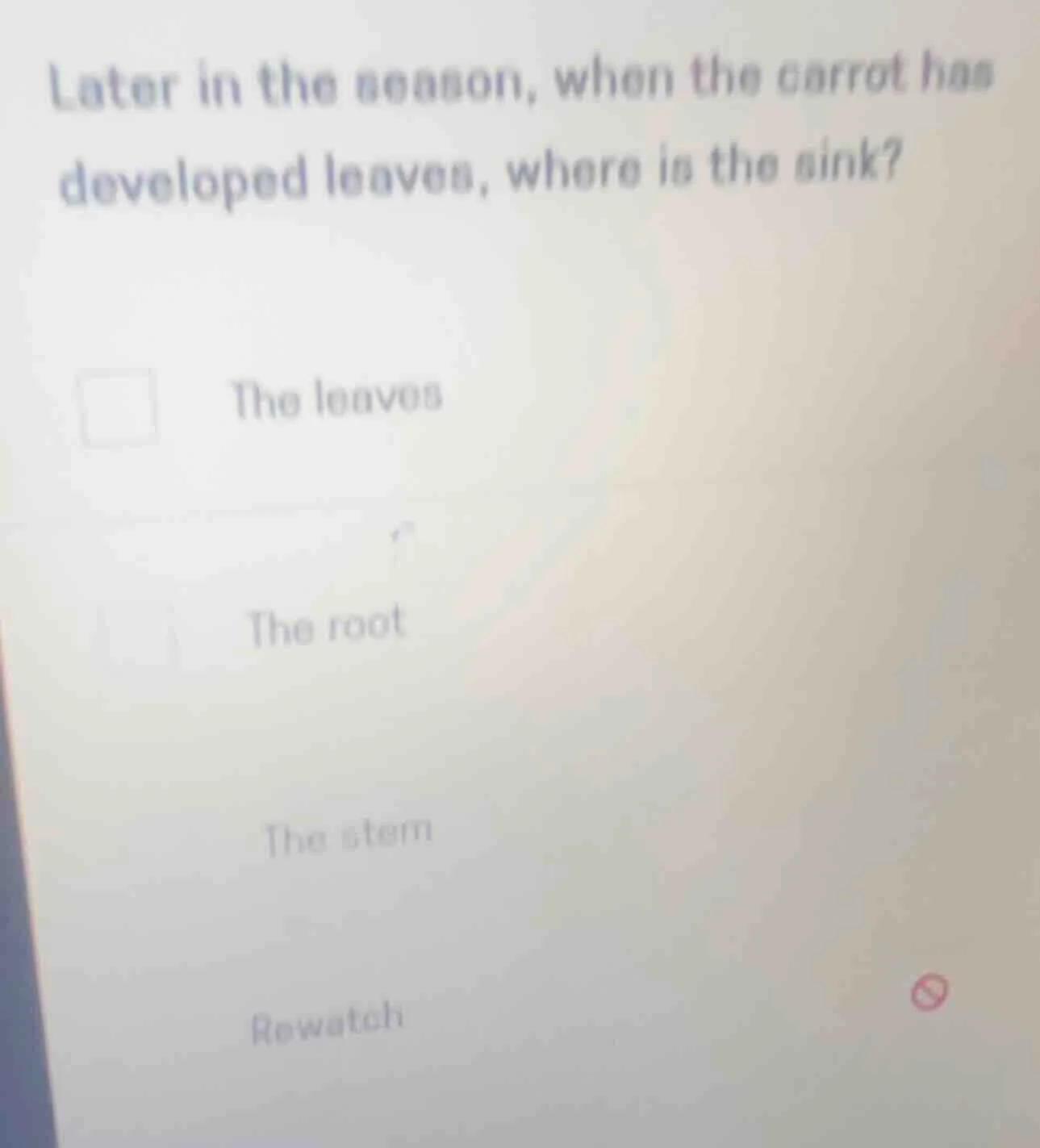 later in the season, when the carrot has developed leaves, where is the…