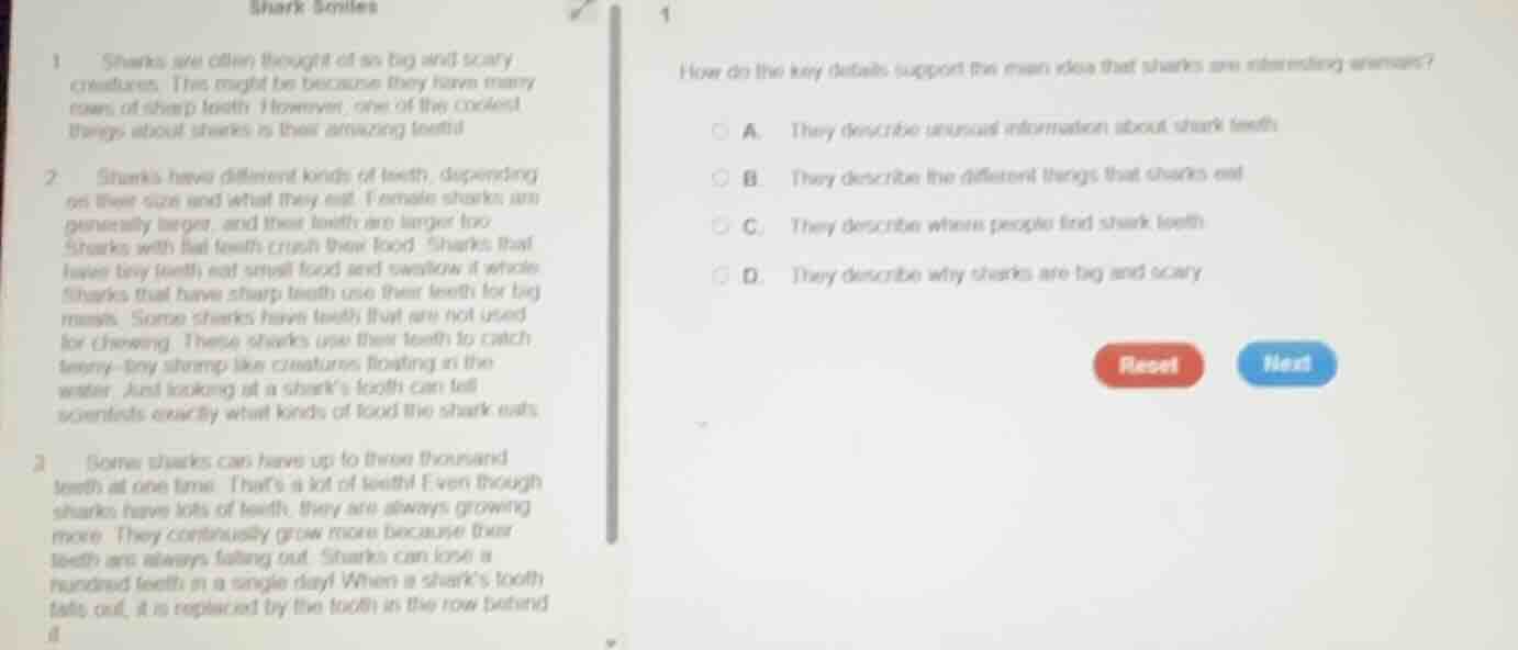 shark smiles1 sharks are often thought of as big and scary creatures. t…