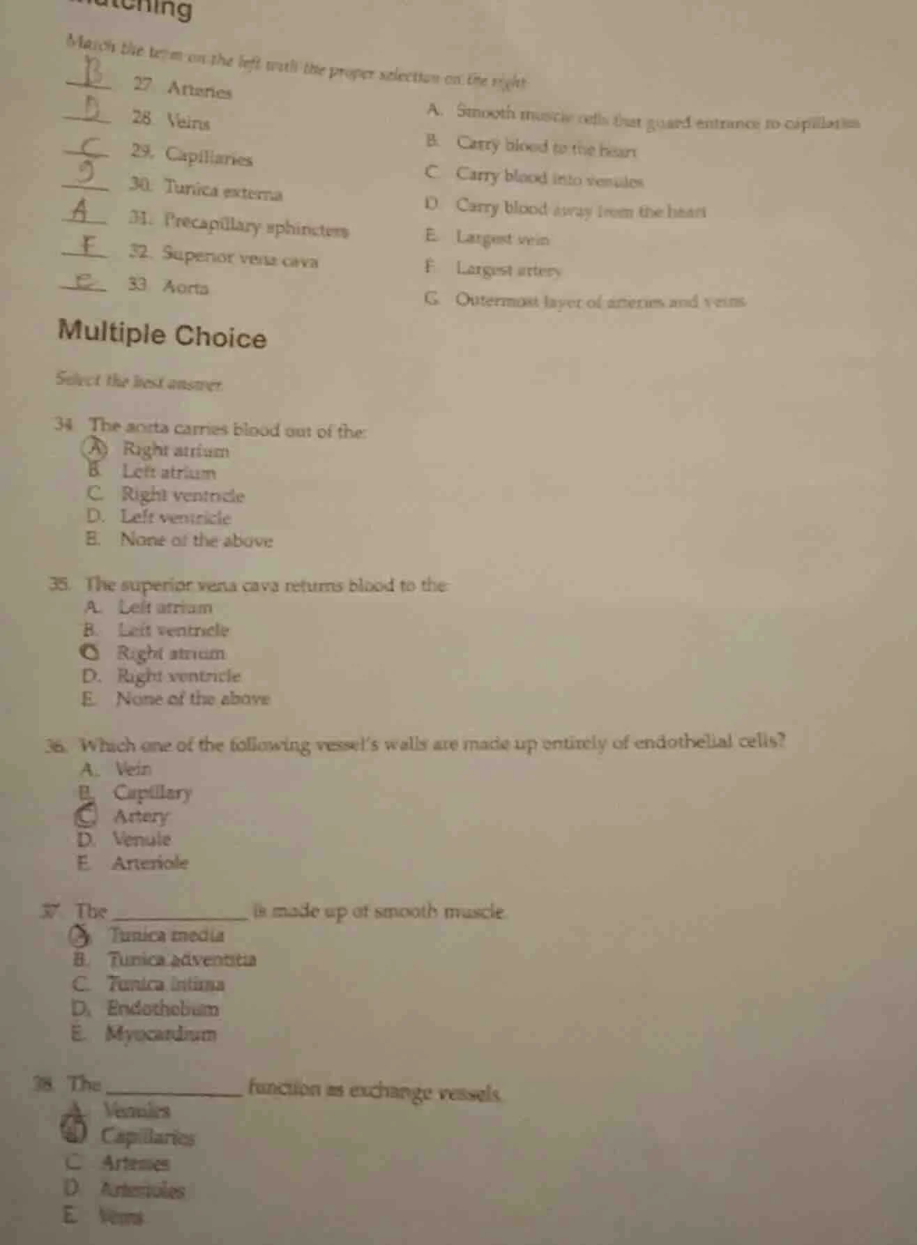 matching match the term on the left with the proper selection on the ri…