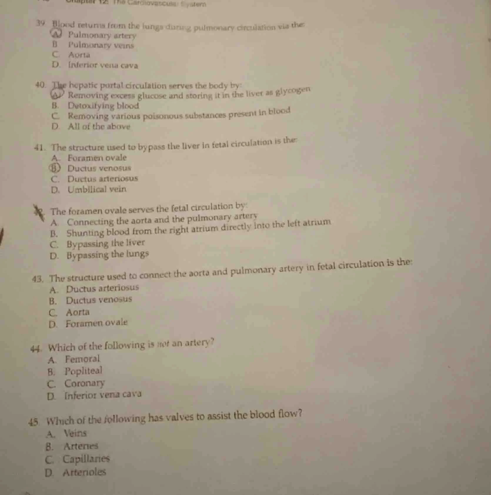 39. blood returns from the lungs during pulmonary circulation via the:a…