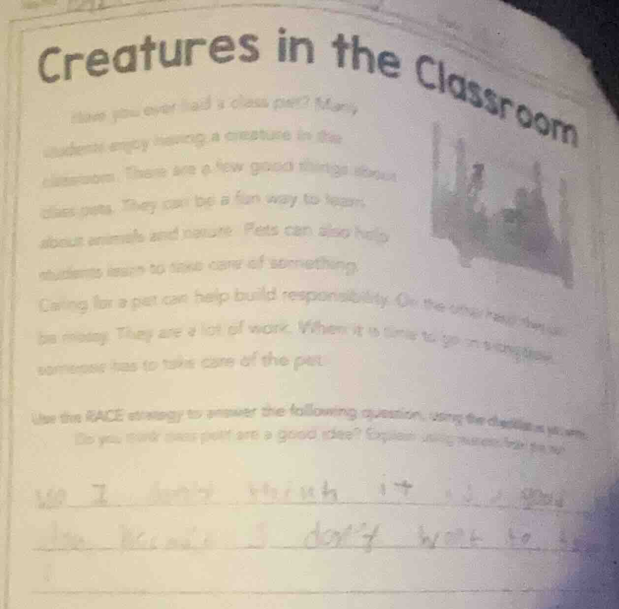 creatures in the classroomhave you ever had a class pet? many students …