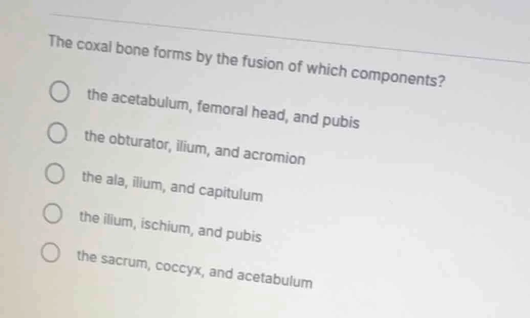 the coxal bone forms by the fusion of which components? the acetabulum,…