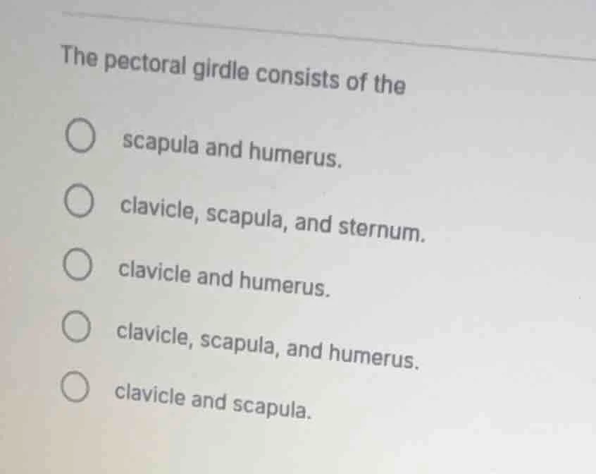the pectoral girdle consists of the scapula and humerus. clavicle, scap…