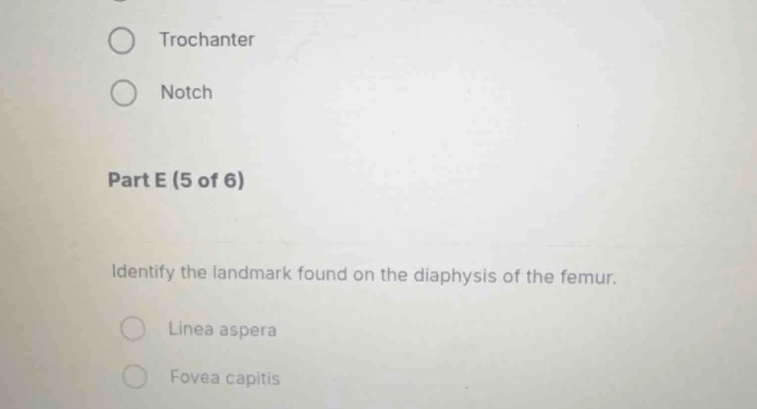 trochanter notch part e (5 of 6) identify the landmark found on the dia…