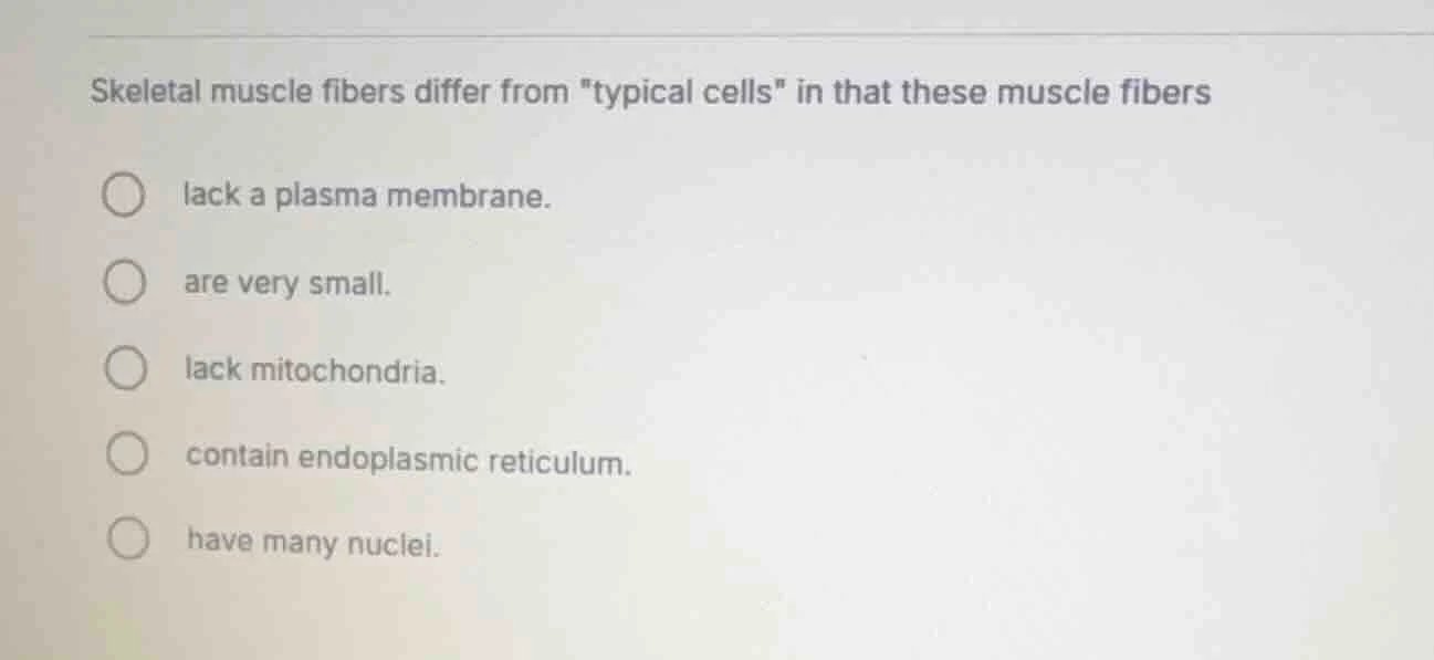 skeletal muscle fibers differ from \typical cells\ in that these muscle…
