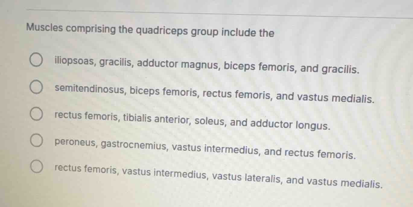 muscles comprising the quadriceps group include the ○ iliopsoas, gracil…
