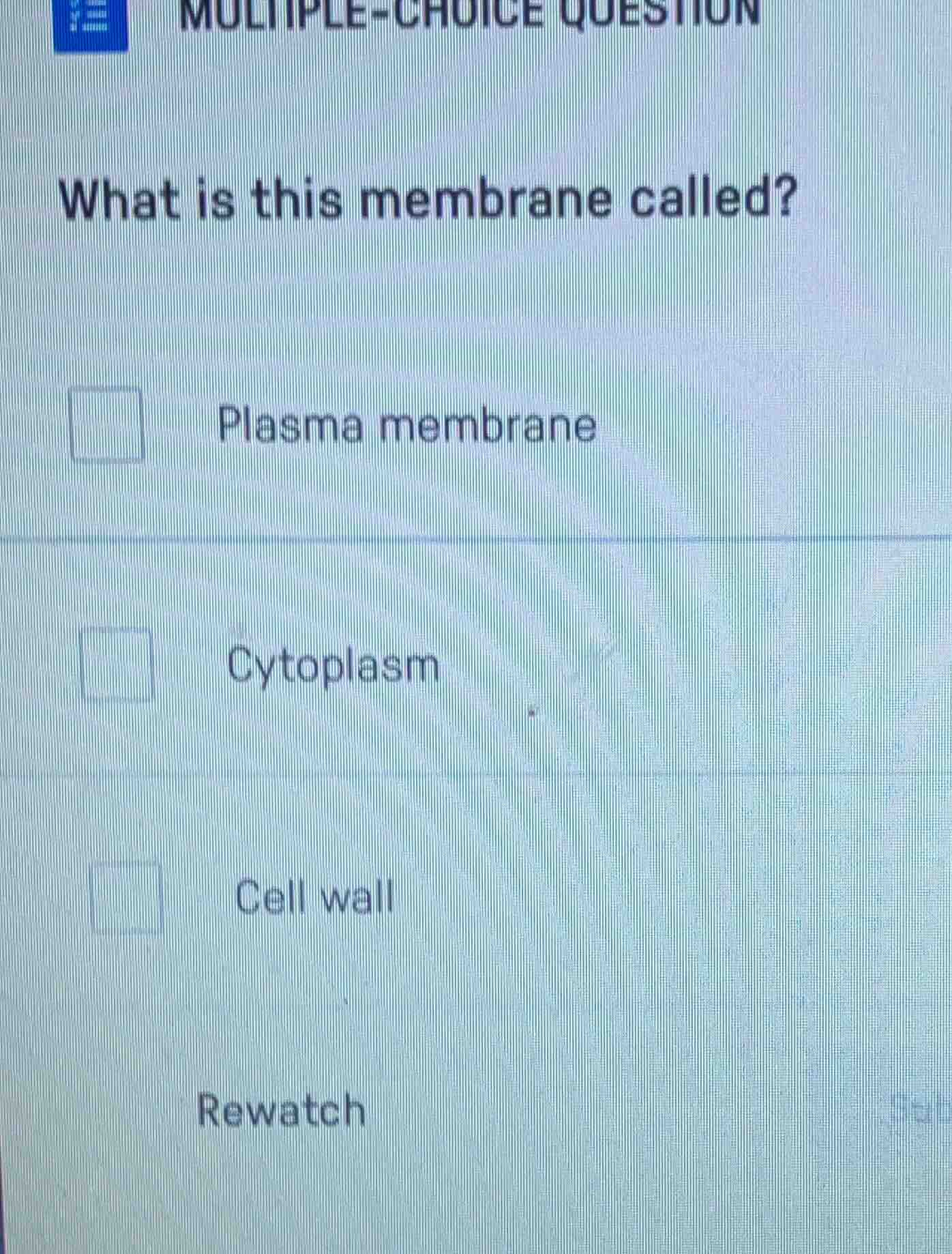 multiple-choice question what is this membrane called? plasma membrane …