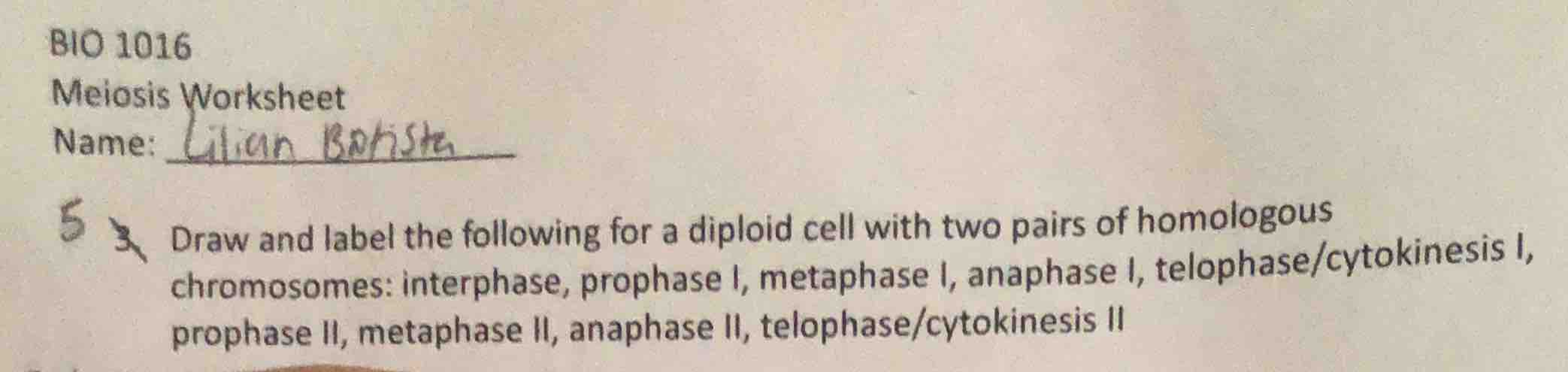 bio 1016 meiosis worksheet name: lilian batiste 5. draw and label the f…