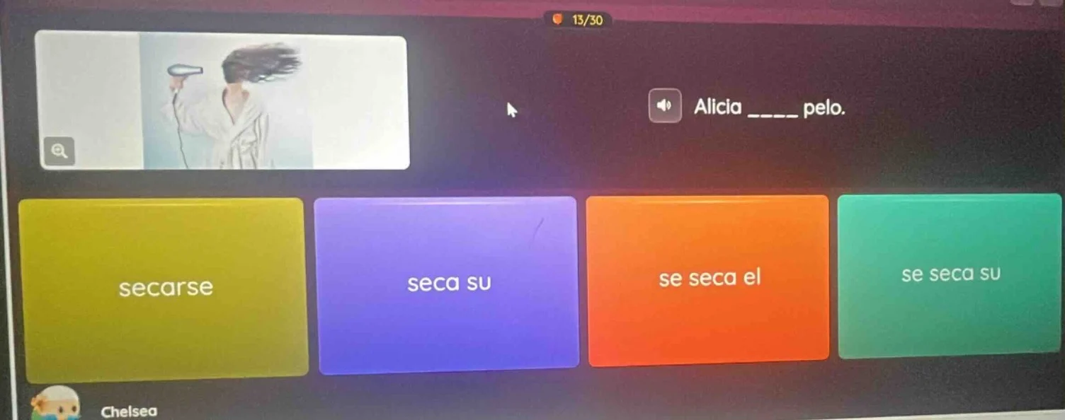 alicia ______ pelo. secarse seca su se seca el se seca su