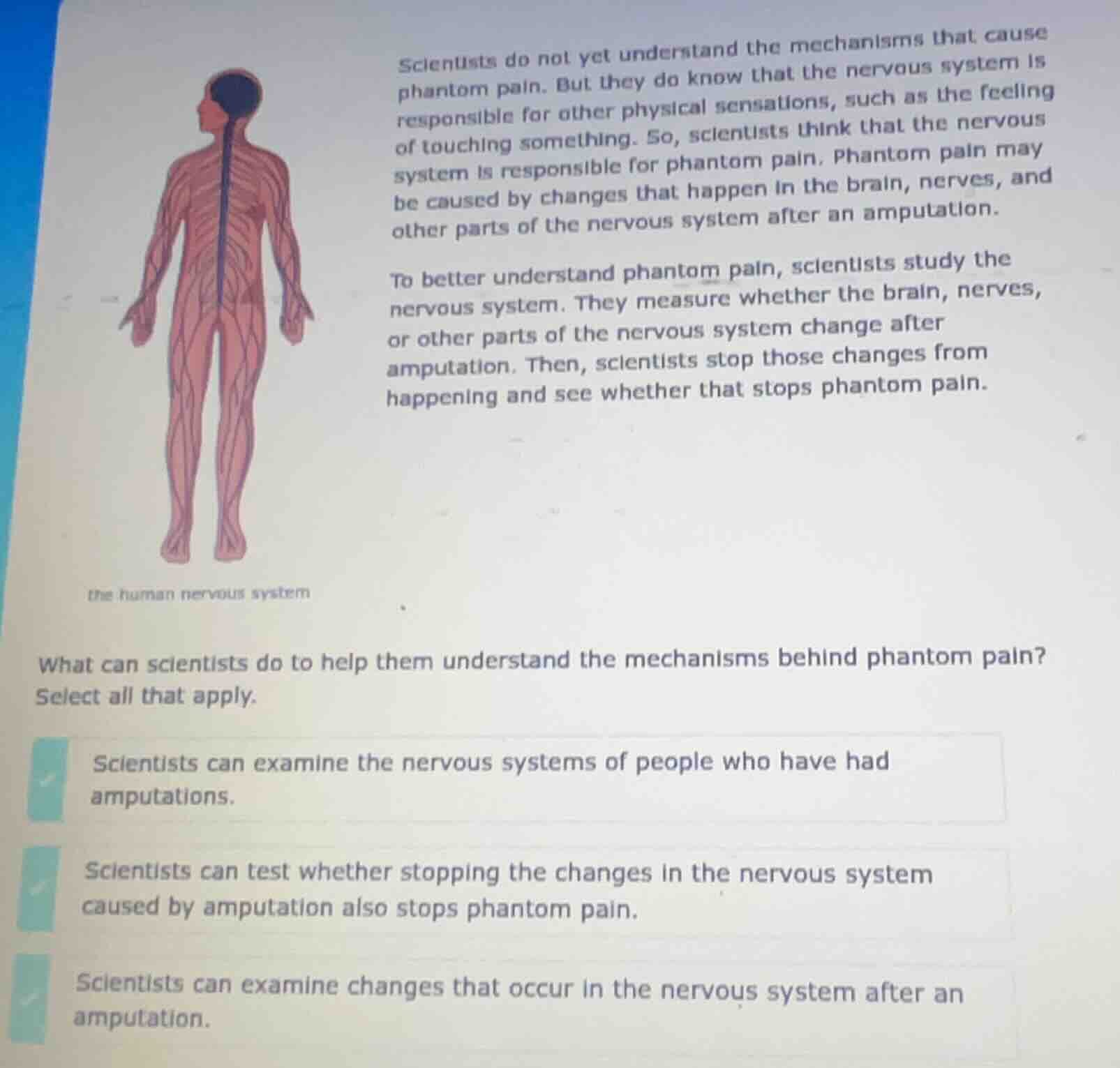 scientists do not yet understand the mechanisms that cause phantom pain…
