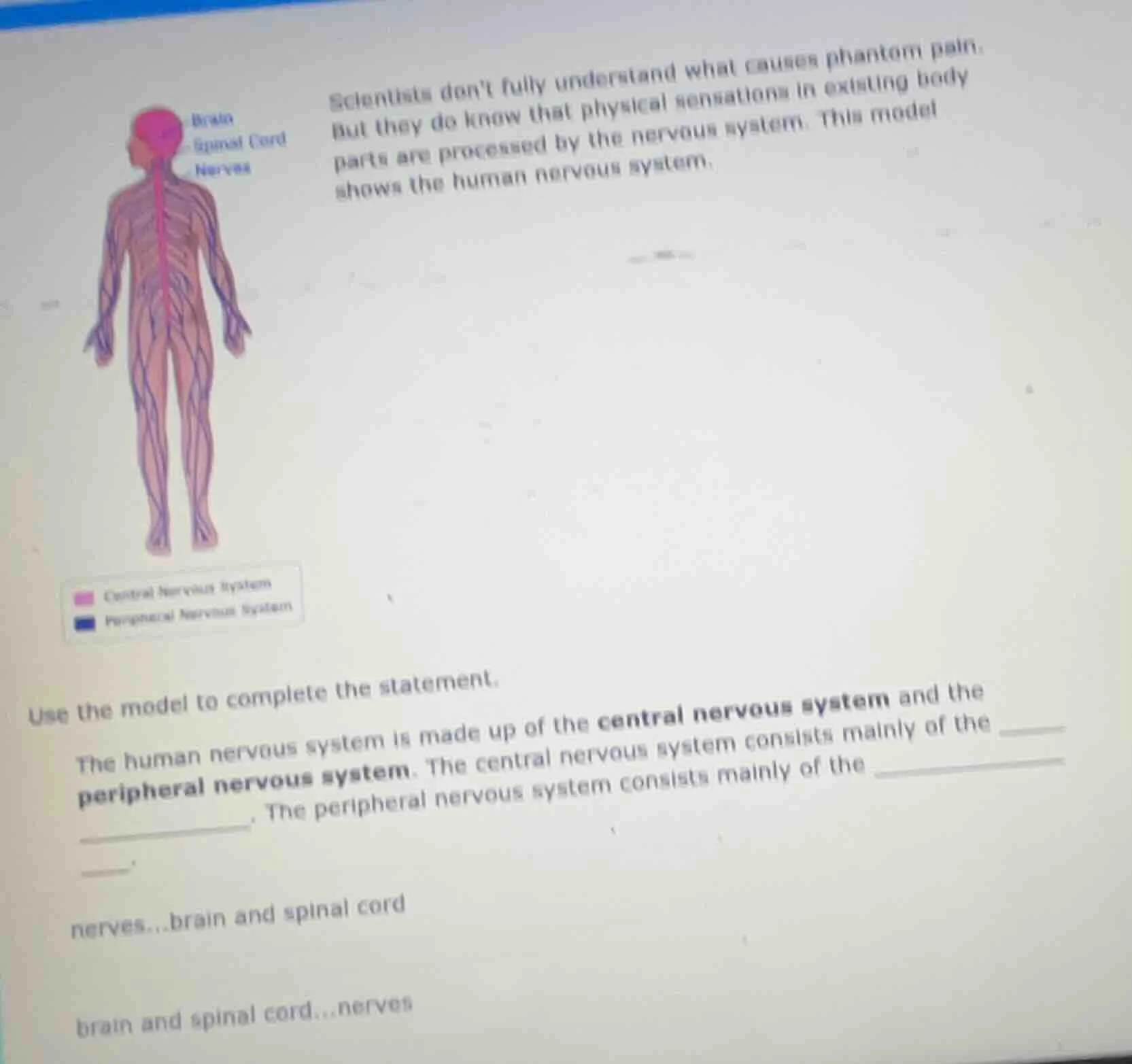 scientists dont fully understand what causes phantom pain. but they do …