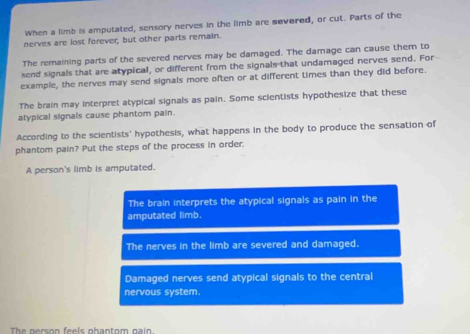 when a limb is amputated, sensory nerves in the limb are severed, or cu…