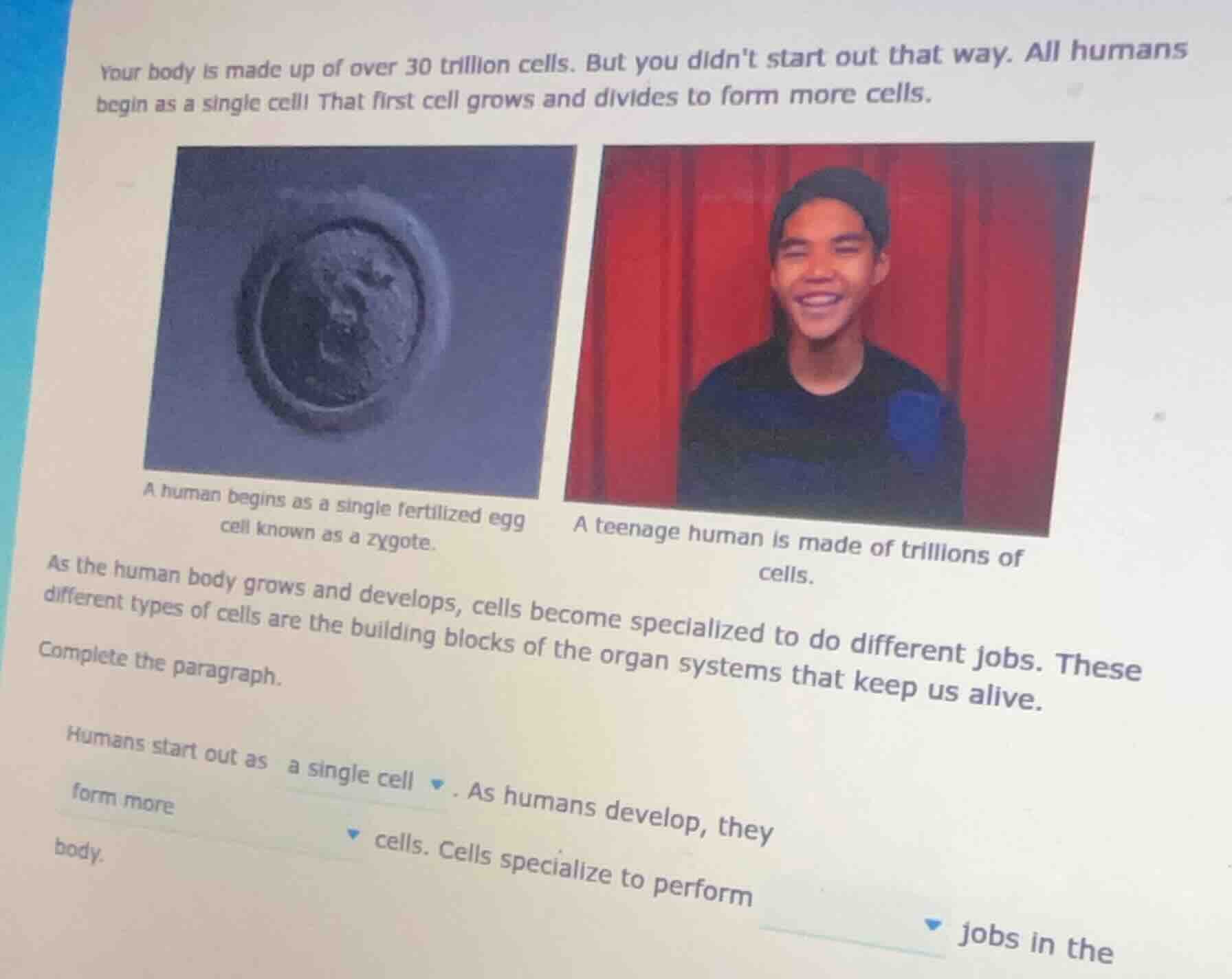 your body is made up of over 30 trillion cells. but you didnt start out…