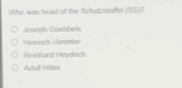 who was head of the schutzstaffel (ss)? joseph goebbels heinrich himmle…