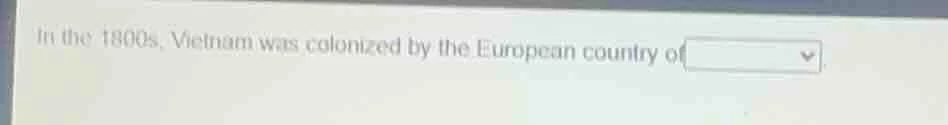 in the 1800s, vietnam was colonized by the european country of
