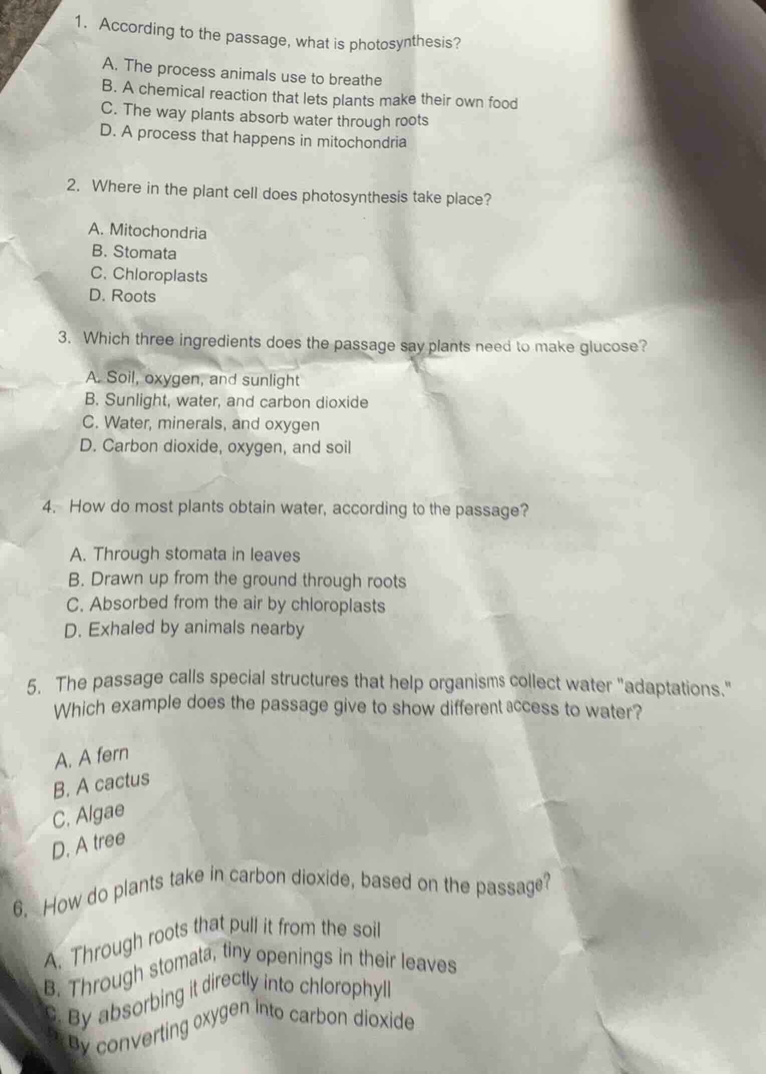 1. according to the passage, what is photosynthesis?a. the process anim…