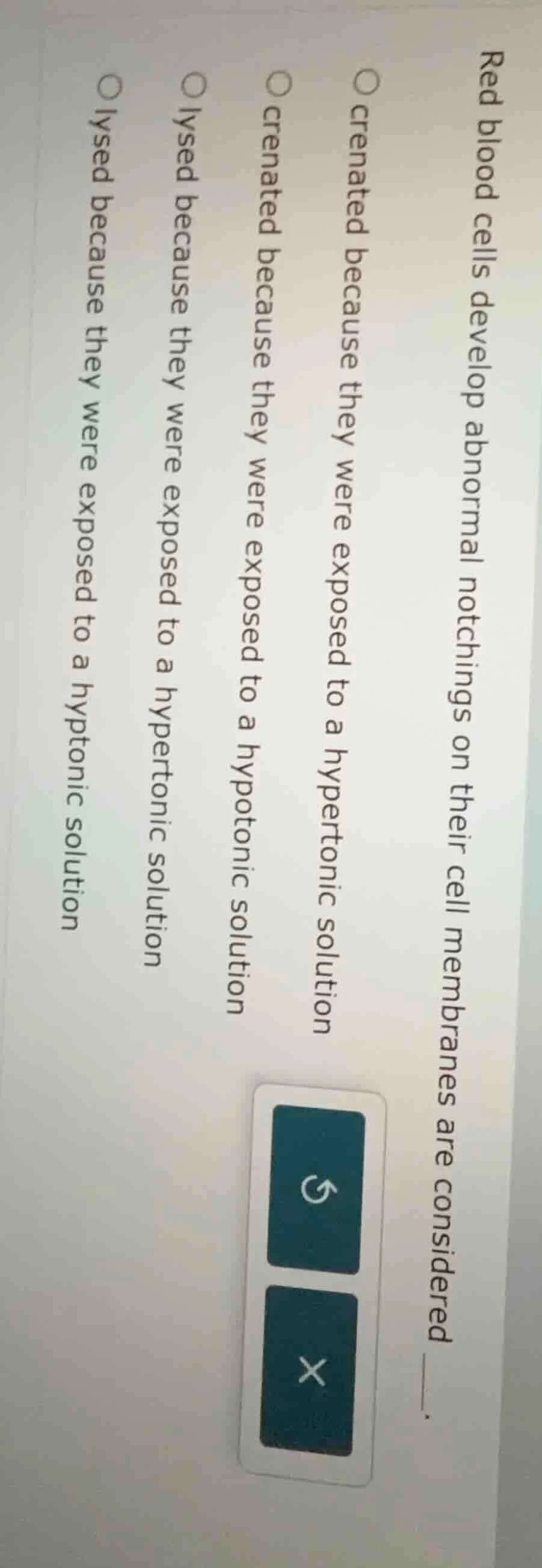 red blood cells develop abnormal notchings on their cell membranes are …