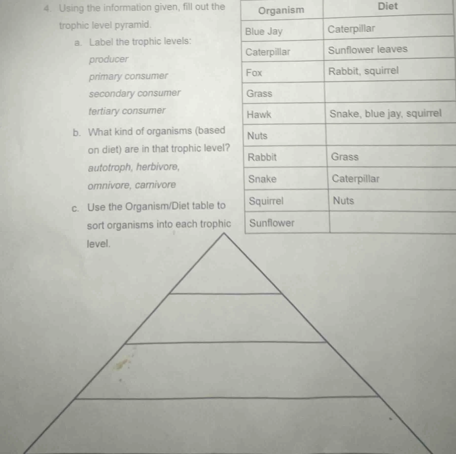 4. using the information given, fill out the trophic level pyramid. a. …