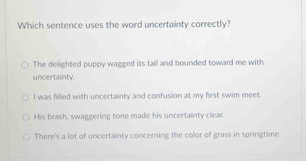 which sentence uses the word uncertainty correctly?○ the delighted pupp…