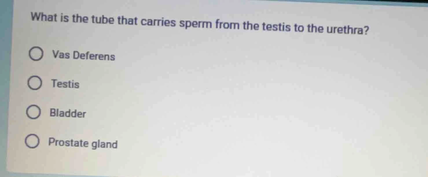 what is the tube that carries sperm from the testis to the urethra? vas…