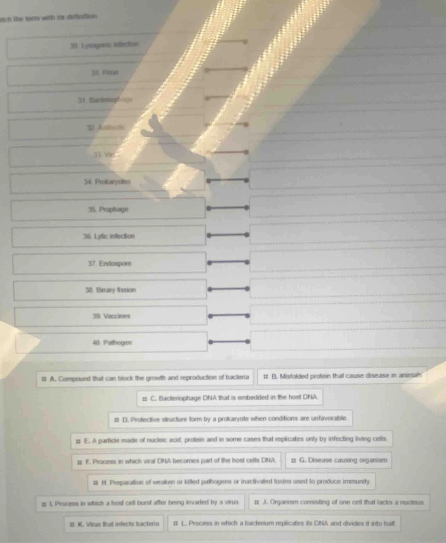 match the terms with its definition 30. lysogenic infection 31. prion 3…