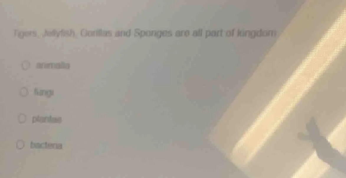 tigers, jellyfish, gorillas and sponges are all part of kingdom:○ anima…