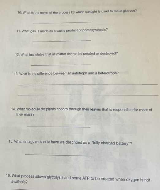 10. what is the name of the process by which sunlight is used to make g…
