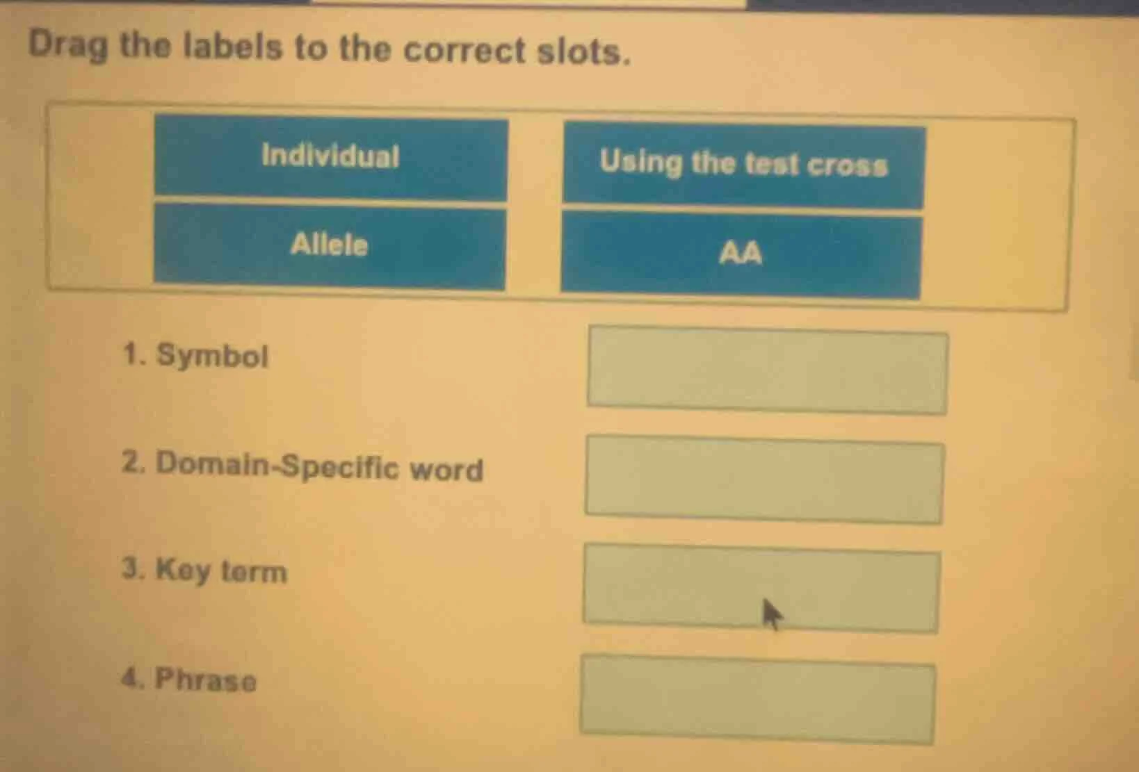 drag the labels to the correct slots. individual using the test cross a…
