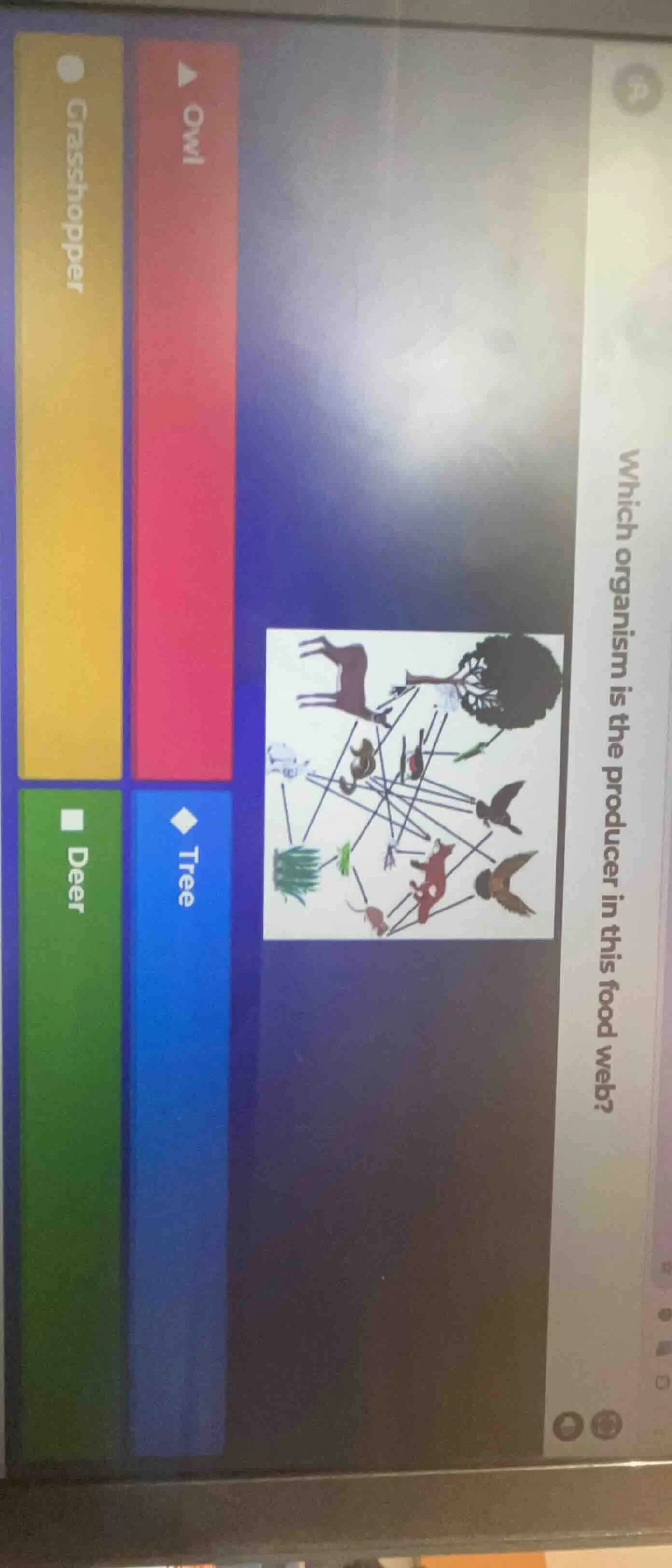 which organism is the producer in this food web?△ owl● grasshopper◆ tre…