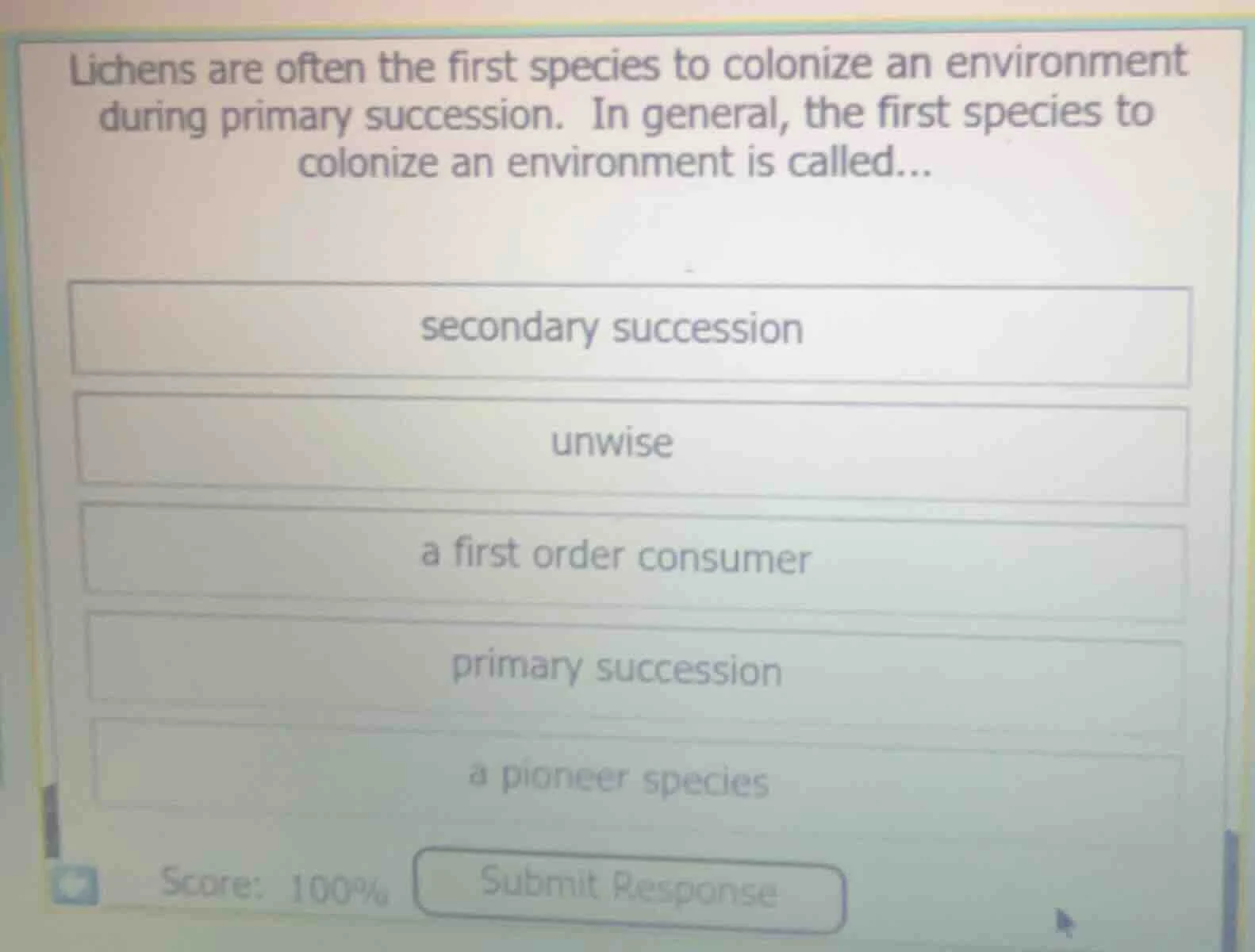 lichens are often the first species to colonize an environment during p…