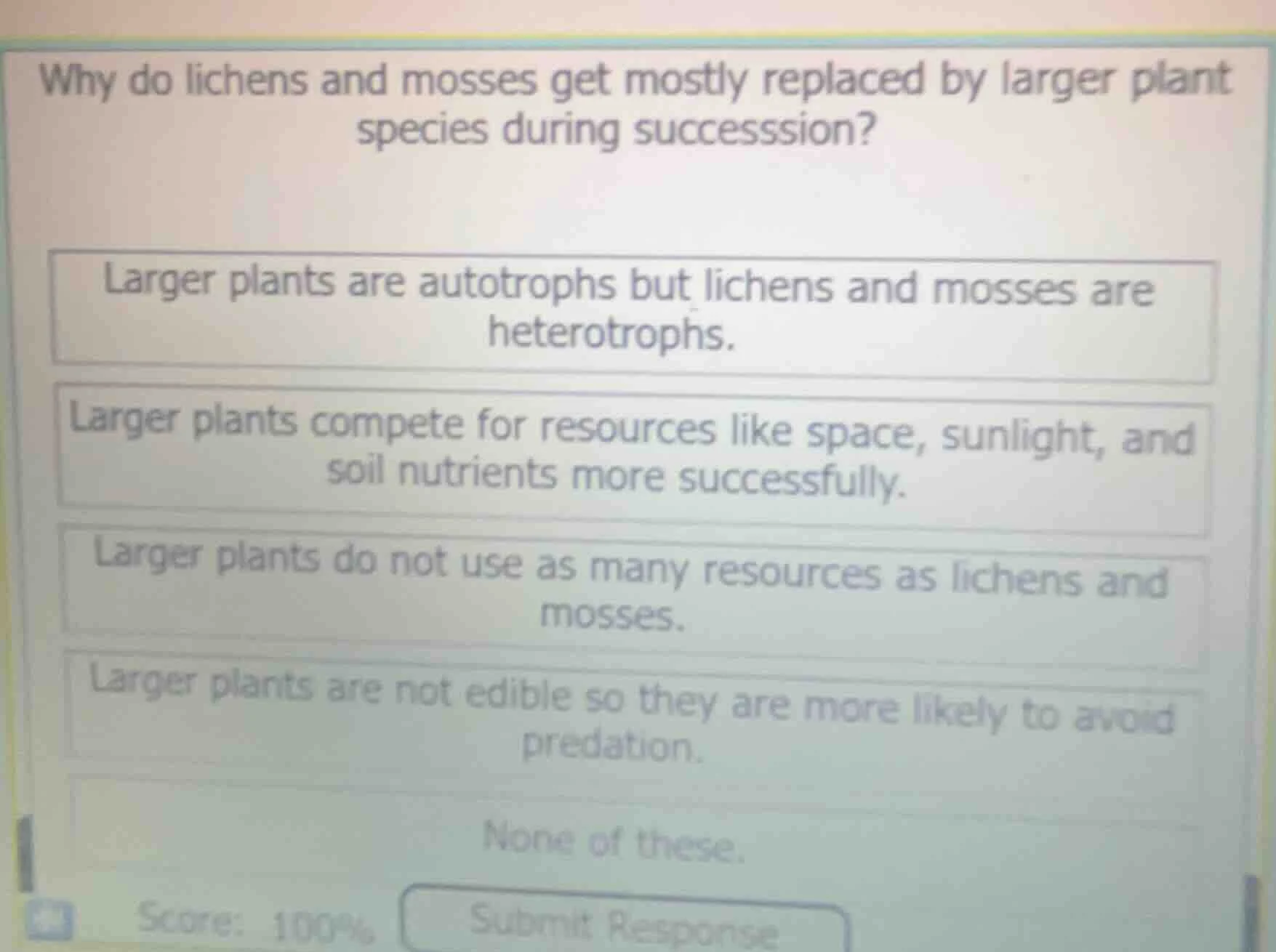 why do lichens and mosses get mostly replaced by larger plant species d…
