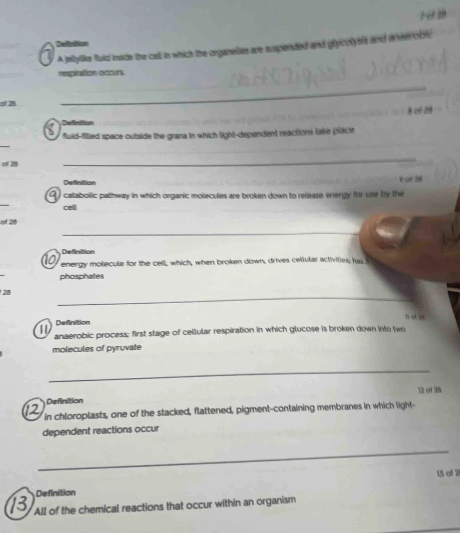 7 definition a jellylike fluid inside the cell in which the organelles …