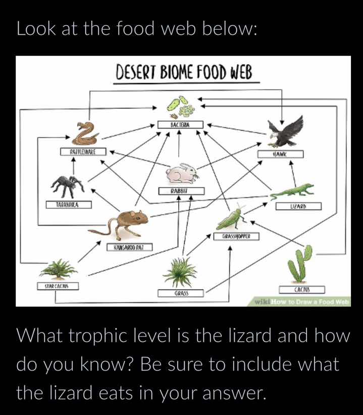 look at the food web below: desert biome food web what trophic level is…