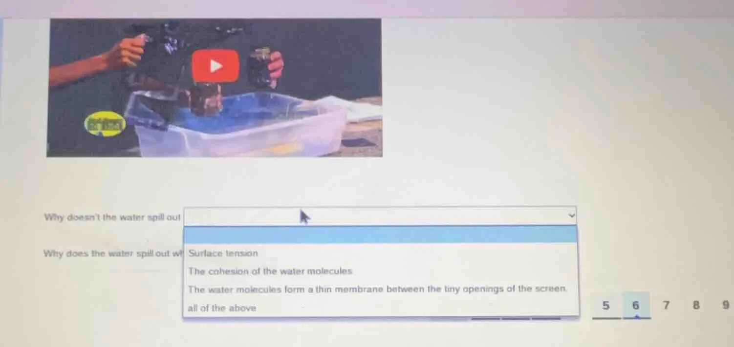 why doesnt the water spill out?why does the water spill out whsurface t…